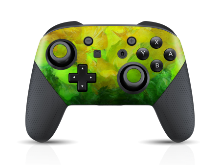 Nintendo Switch Pro CONTROLLER SIGNATURE Spring Sunrise Painting Skin For Sale